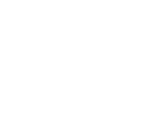 SpaceDucks